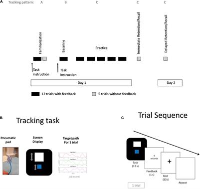 Different Patterns of Neural Activity Characterize Motor Skill Performance During Acquisition and Retention